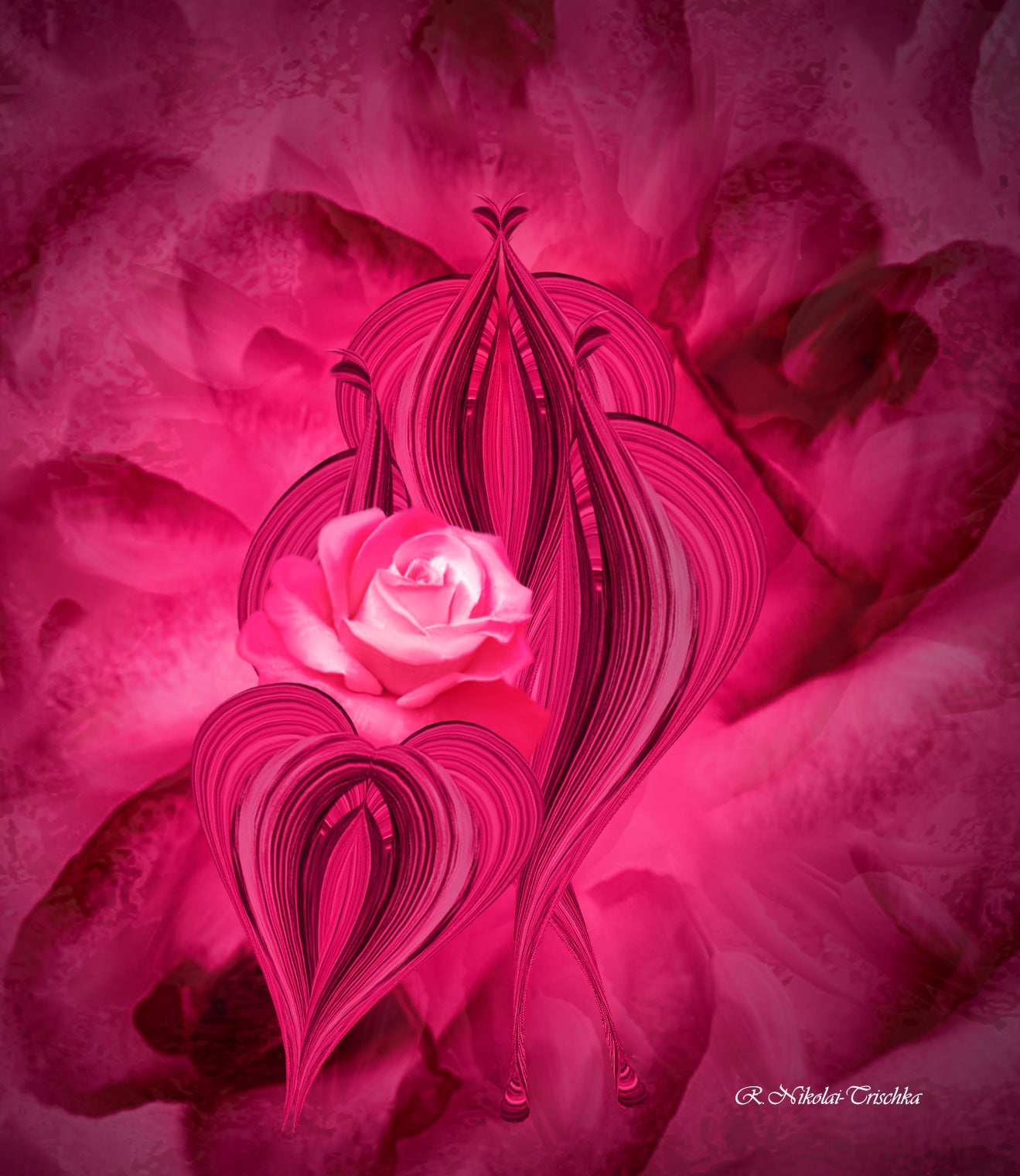 Foundation of Strength