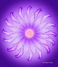Divine Bond