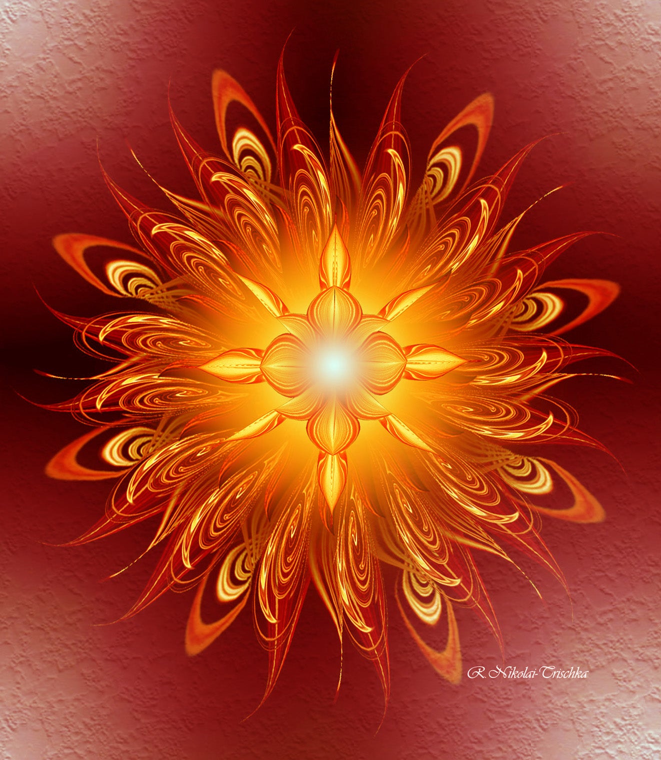 Send out kindness and love.