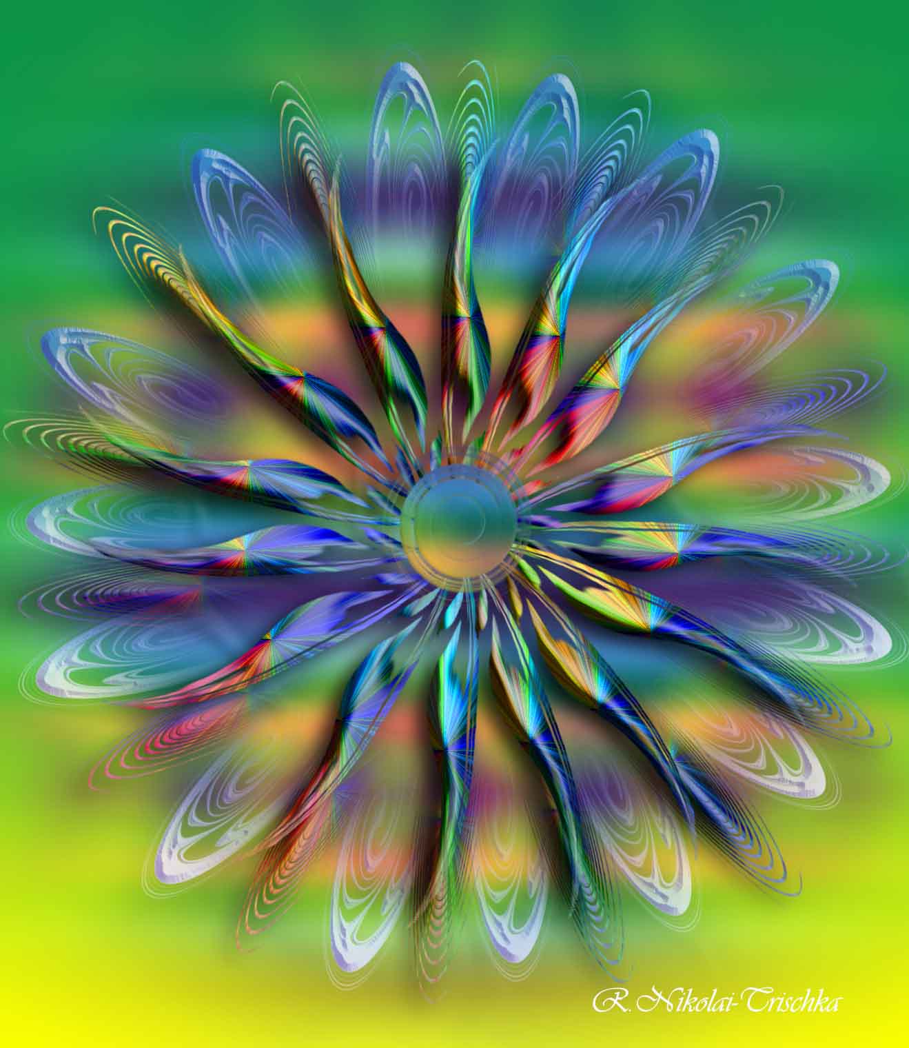 Shamanic Healing Wheel